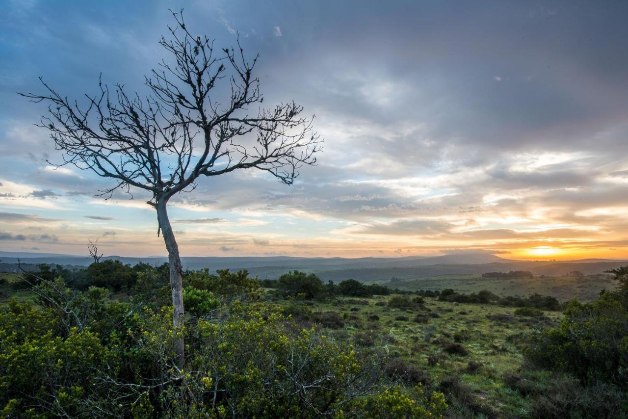 Shamwari Long Lee Manor Villa Paterson Bagian luar foto