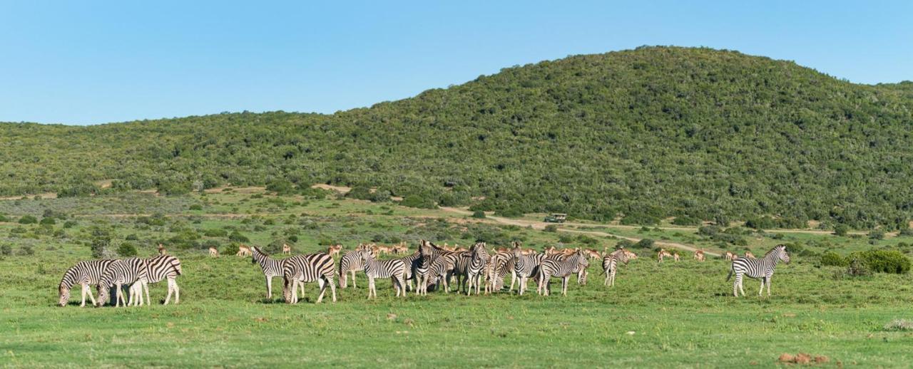 Shamwari Long Lee Manor Villa Paterson Bagian luar foto